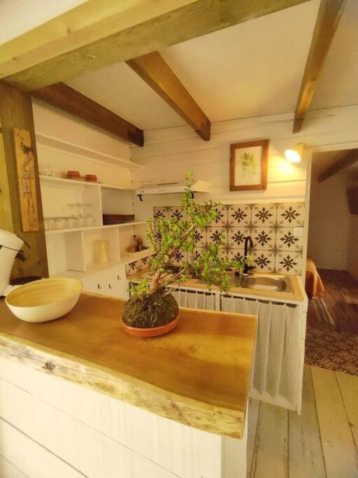 Apartamento La Guillaumette Saint-Paul Exterior foto